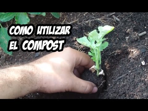 COMO UTILIZAR EL COMPOST | Abono Orgánico | La Huerta de Ivan