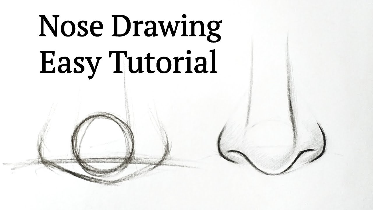 How to draw a nose easy Drawing nose step by step tutorial for ...