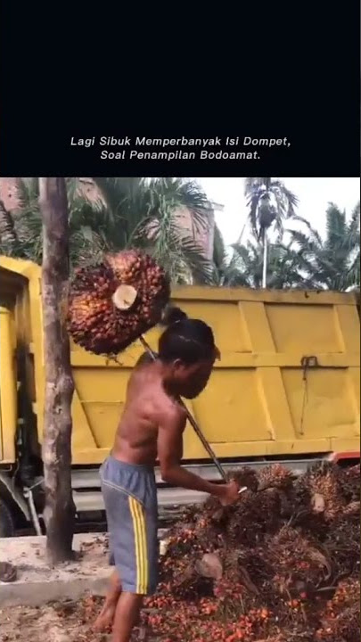 STORY WA PEMUAT SAWIT YANG HANDAL đ #SAWITTONTIKTOK #PETANISAWIT #VIRALTIKTOK #SAWIT