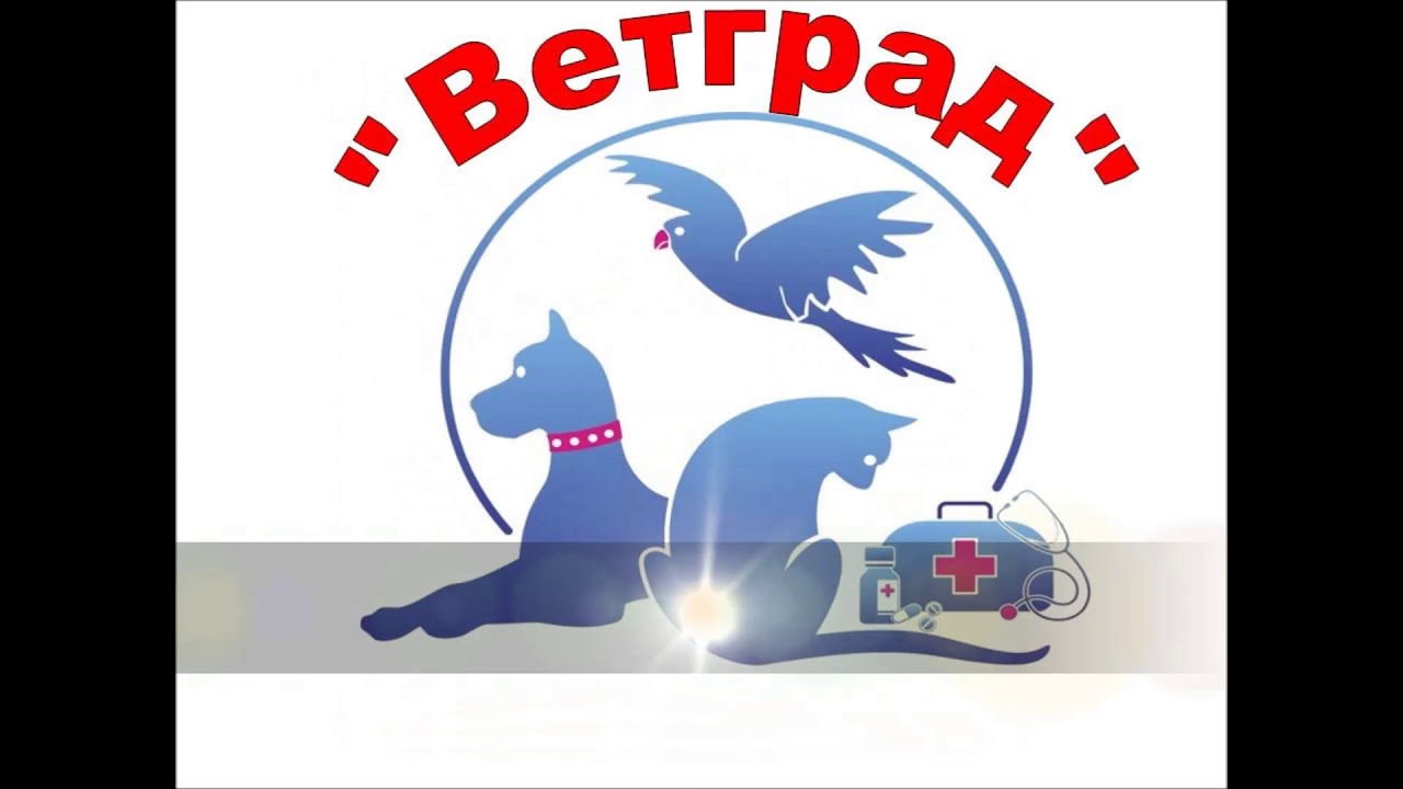 Ветград. Ветград Московский. Ветград Арзамас.