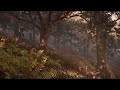 Sunlight in the Forest [ Afternoon Nature Ambience ] Forbidden West