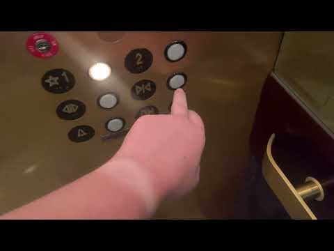 What a lucky person! 馃槣 #slots #lasvegas #casino #gambling