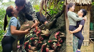 Linh's slow kiss in the forest picking things  Going to the market & Cooking together | Linh's Life