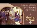 Video de Jesus Maria