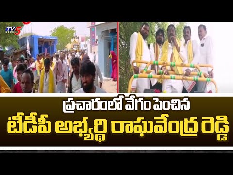 Mantralayam TDP MLA Candidate Raghavendra Reddy Election Campaign | AP Elections 2024 | TV5 News - TV5NEWS