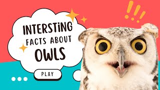 Fun Facts About Owls You May Not Know About