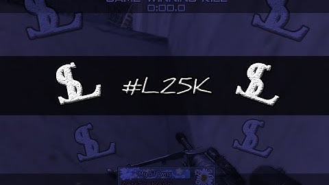 #L25K & Synergy Clips (Lucid 25k RC Response)