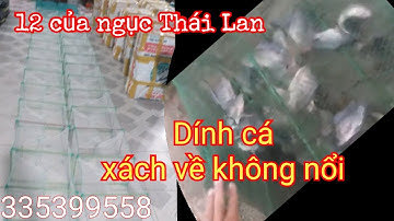 Cung cấp lú 12 cửa ngục lưới thái lan hôm cải tiến. Dính ca xách về không nổi. 0335399558