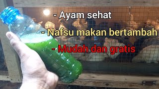 Berhenti beli Obat dan Vitamin !! Begini Cara Membuat Ramuan Herbal Alami Ayam Sehat Terus. screenshot 2