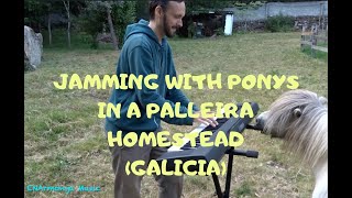 DANCING with FARIES (Jamming with Ponys in A Palleira Homestead, Galicia)