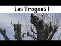 Les Trognes