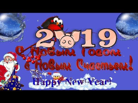 Короткие поздравления с Новым годом 2019 пожелание в новый год свиньи