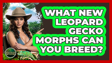 What New Leopard Gecko Morphs Can You Breed? - Reptilian Wonders