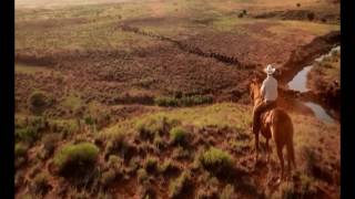 Steel Rail Blues - Gordon Lightfoot