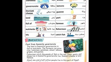 connect 4 unit 1 lesson 5