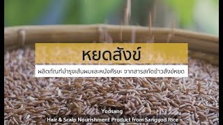 [สินค้าเกษตรนวัตกรรม] หยดสังข์ ผลิตภัณฑ์บำรุงเส้นผมและหนังศีรษะ จากสารสกัดข้าวสังข์หยด