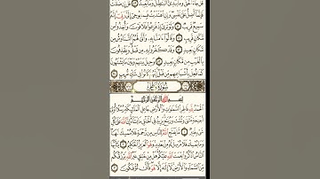 سورة فاطر الشيخ ماهر المعيقلي #اطمئن