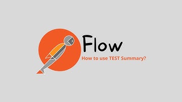 Postman Flow- Test Summary