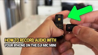 How To Record Audio With Your iPhone On The DJI Mic Mini: Quick & Easy!