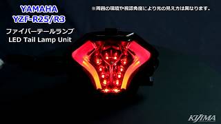 YAMAHA YZF-R25/R3 MT-25/03 MT-07専用設計　LEDテールランプ