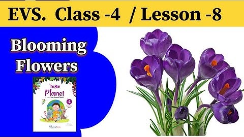 Le-8 Blooming Flowers | Class-4 | EVS | Lesson-8 |Preeti mam