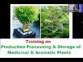 Production Processing &amp; Storage of Medicinal &amp; Aromatic Plants