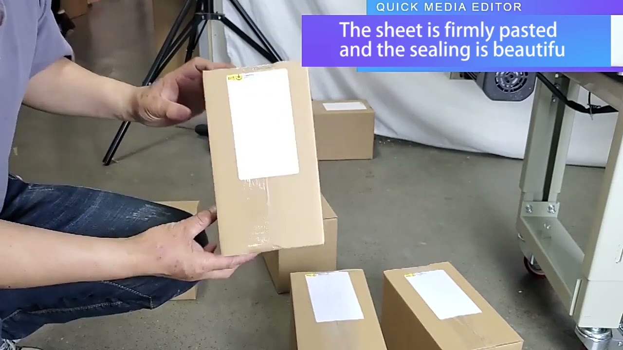 Box Sealing and Labeling Machine for Small Carton Parcels