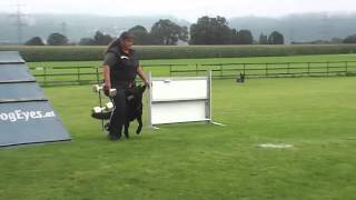 Inci Vom Waisagrund - Ipo 1-Prüfung - Unterordnung - 100V