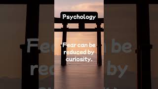 How Curiosity Can Crush Fear | Psychology Insights