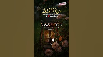 ما تيسر من سورة الزمر تلاوة خاشعة