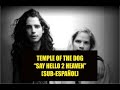 Temple Of The Dog - Say Hello 2 Heaven SUBTITULADA ESPAÑOL