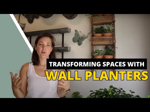 How to Style an Outdoor Wall Planter | Catherine Arensberg