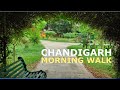 Chandigarh garden morning walk ii    ii awesome mandial