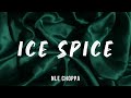 NLE Choppa - Ice Spice (lyrics)