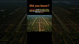Angkor Wat and the Lost Mega-City of the Jungle #history