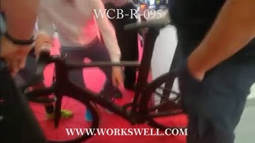 WCB R 095 workswell bike company
