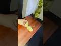 tips simpan potong jeruk nipis #tipsdapur #diy #trending #viral #shorts #fypシ #lifehacks #viralvideo