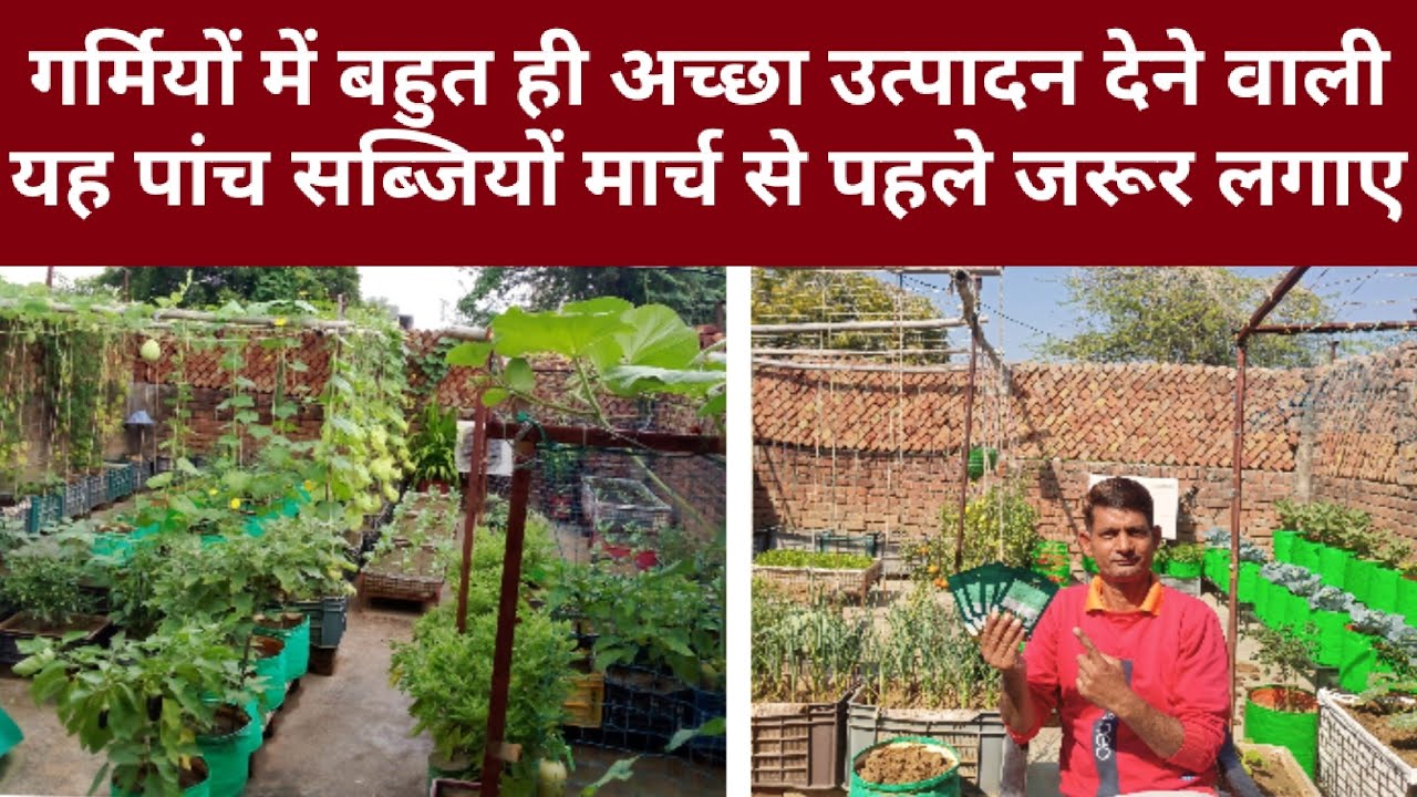 गर्मियों में सबसे ज्यादा महंगी मिलने वाली यह 5 सब्जियां मार्च से पहले जरूर लगाएं। #vegetablegarden 