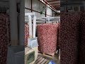 New Concept of Onion Storage