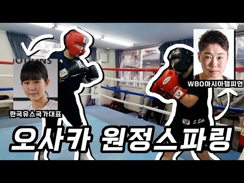   여자 복싱 오사카 원정스파링 한국 아마추어 유스 국가대표 VS 일본 프로 WBO 아시아 챔피언