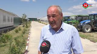 Yuxarı Uzunoba kəndində yeni yaradılan qəbul məntəqəsinə 15 ton yaş tütün qəbul olunub