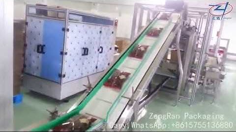 Fullly automatic casing packing and palletizing prodction line By ZengRan WhatsApp+86 15755136880