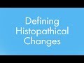 Strettadoc  article  defining histopathical changes