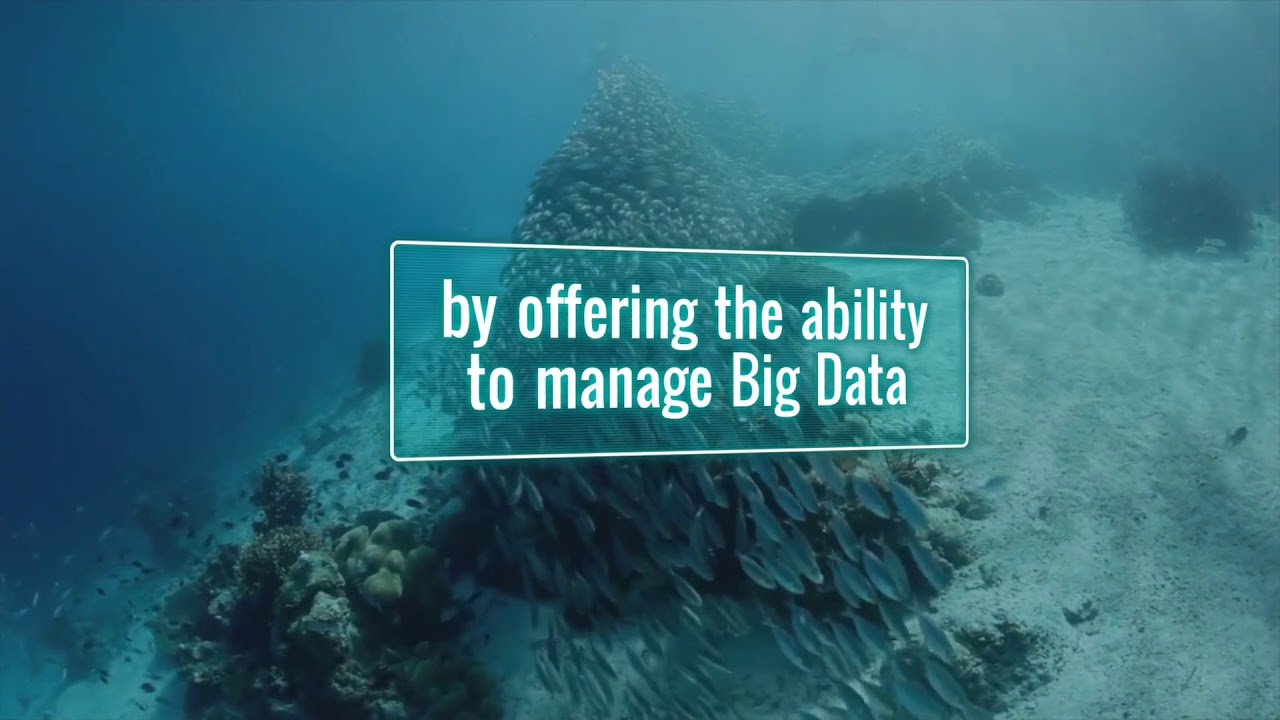 Digital Technology & Sustainability: Positive Mutual Reinforcement ...