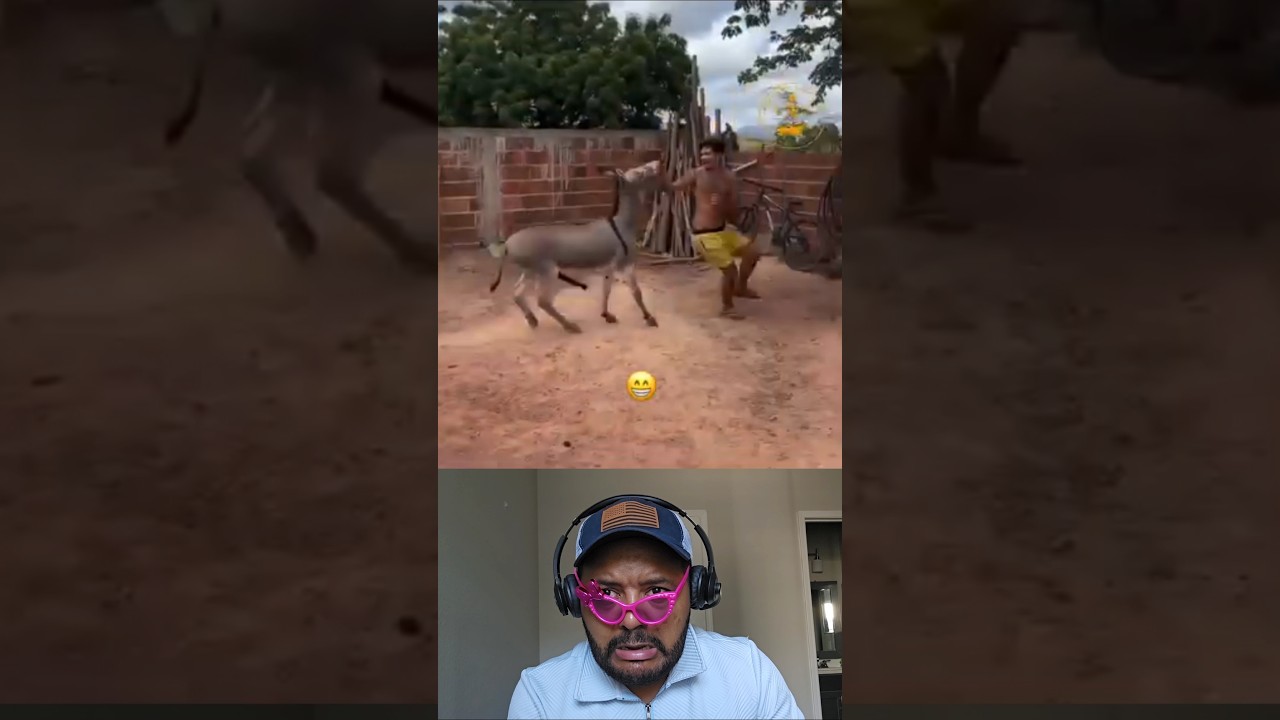 cuando hasta el burro quiere contigo 