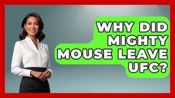 Why Did Mighty Mouse Leave UFC? - Knock Out Reels