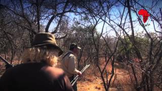Jagen und Urlaub in Südafrika mit Mark Dedekind Safaris.