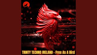 Free As A Bird