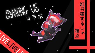 【#AmongUs】お久しぶりです！アモアス定例会さん！【紅井猫 まるしゃ】