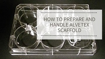 How to Prepare and Handle Alvetex Scaffold | REPROCELL (Alvetex)